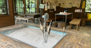 矢納フィッシングパークでニジマス釣り(2025/7/13)