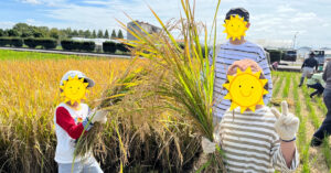 稲刈り・精米体験（2025/10/12）