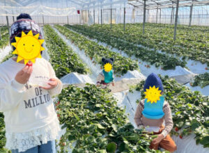 菖蒲绿色自然中心摘草莓～久喜市室内游乐园（2026/02/01）